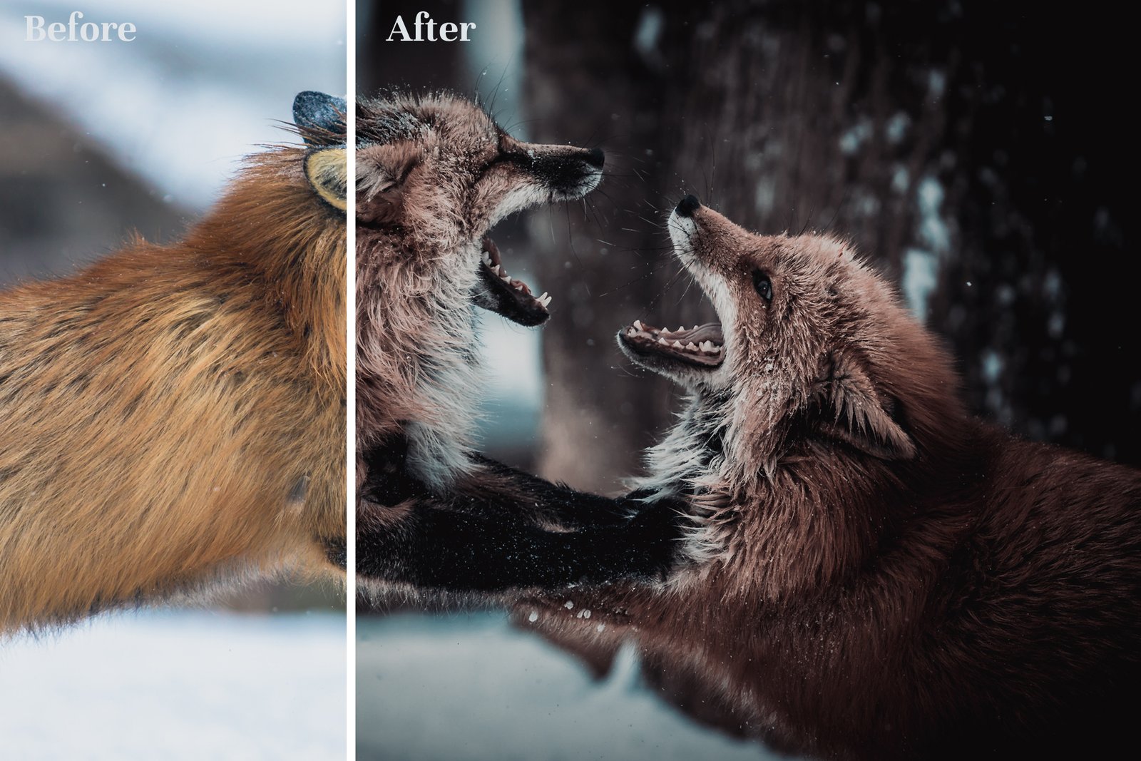 Dark &amp; Moody - Lightroom Presets for Mobile and Desktop