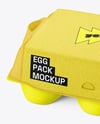 Egg Carton Packaging Mockup