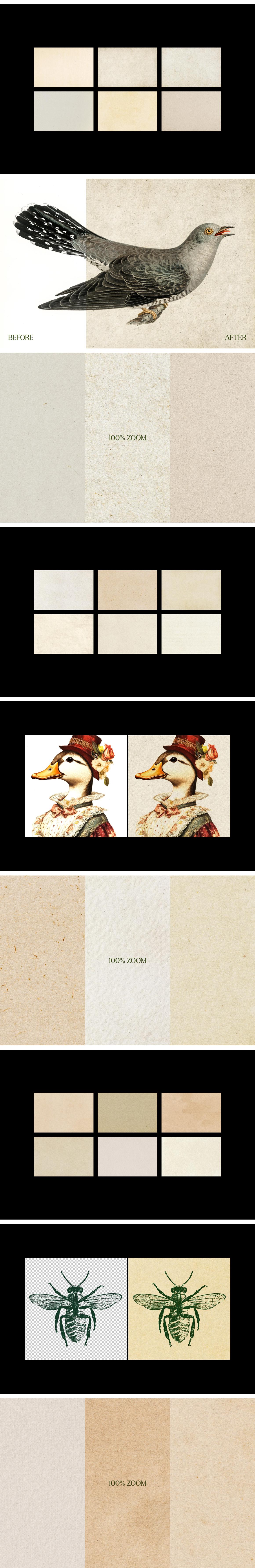 Vintage Paper Textures