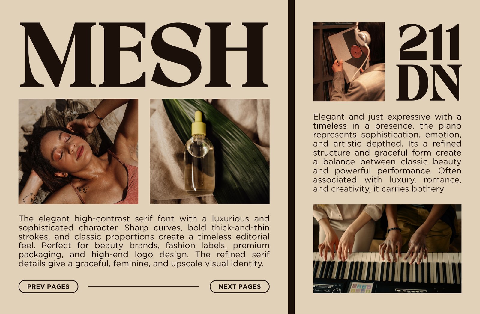 Quishe – Modern Elegant Serif