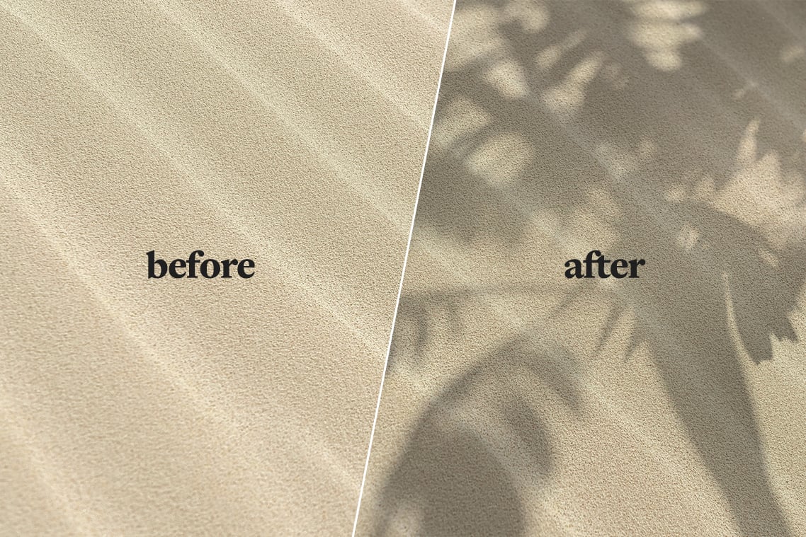 Plant Shadow Backdrops Video Bundle