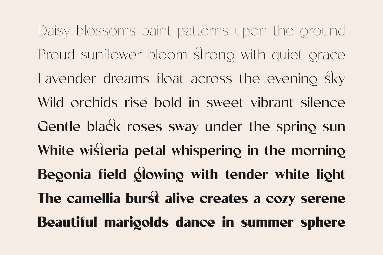 Velorina - Elegance Minimalist Font