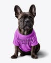 French Bulldog Wearing a T-Shirt Mockup