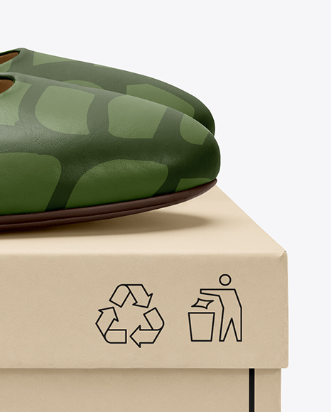 Pair of Leather Ballet Flats on Shoe Box Mockup