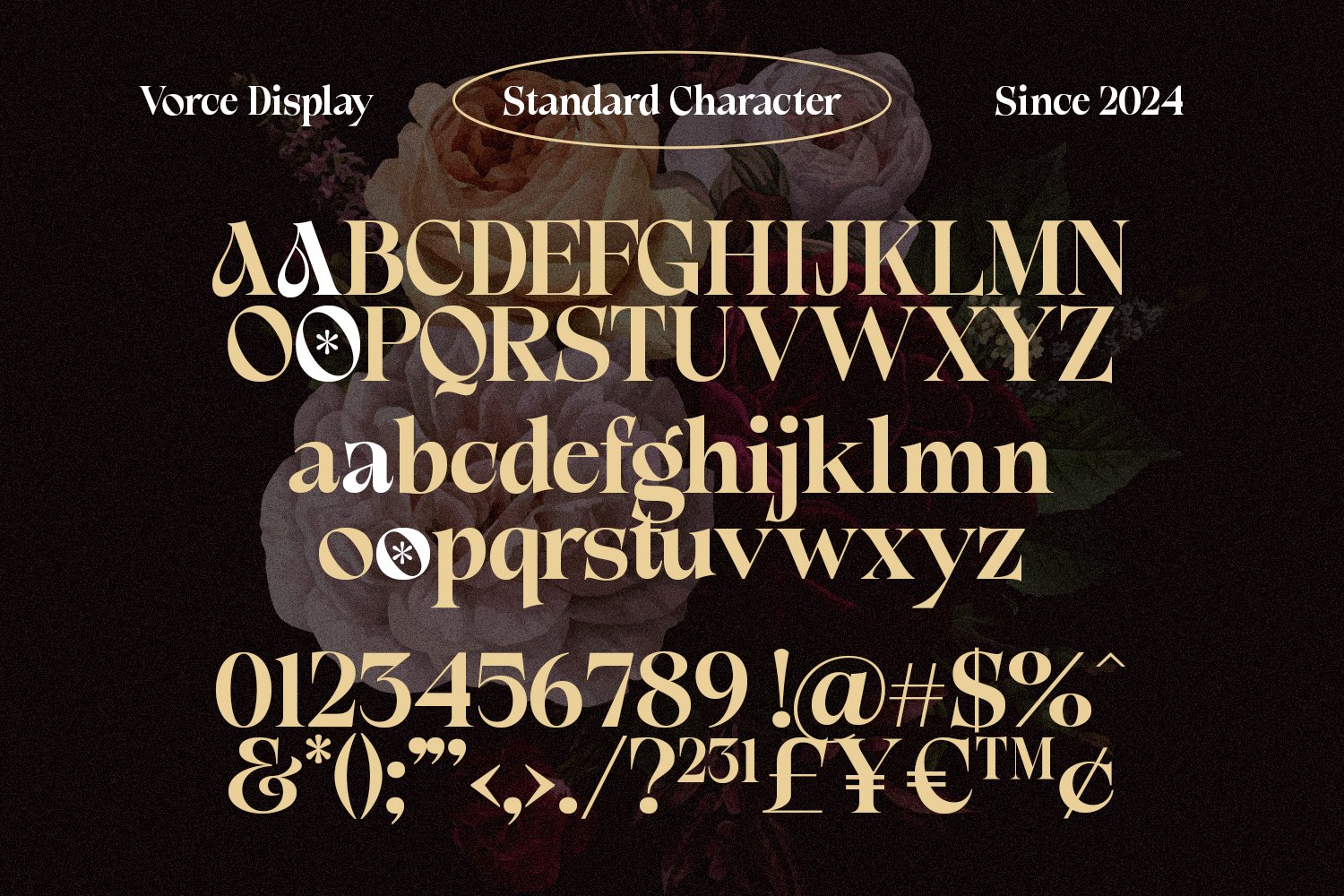 VORCE DISPLAY - A Serif Font