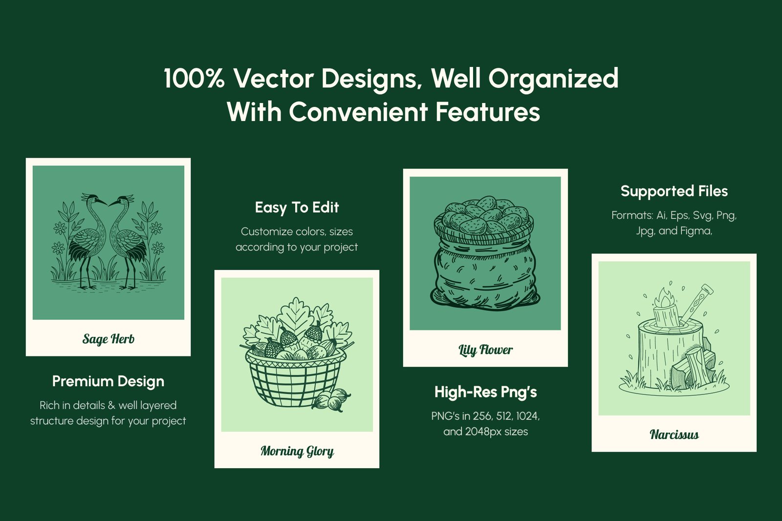 Vintage Nature Illustrations Bundle