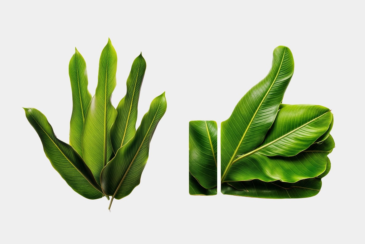 Tropical Leaves Font