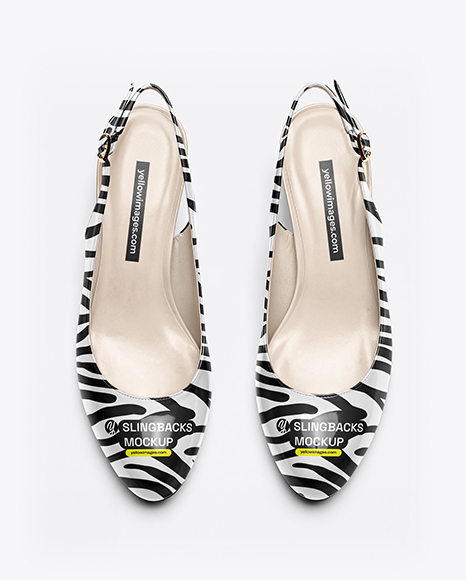 Pair of Glossy Slingbacks Mockup - Mockups