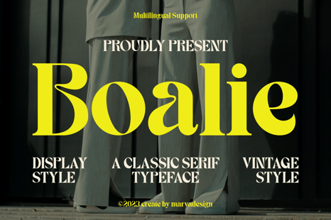 Boalie - A Classic Serif Font - Display product