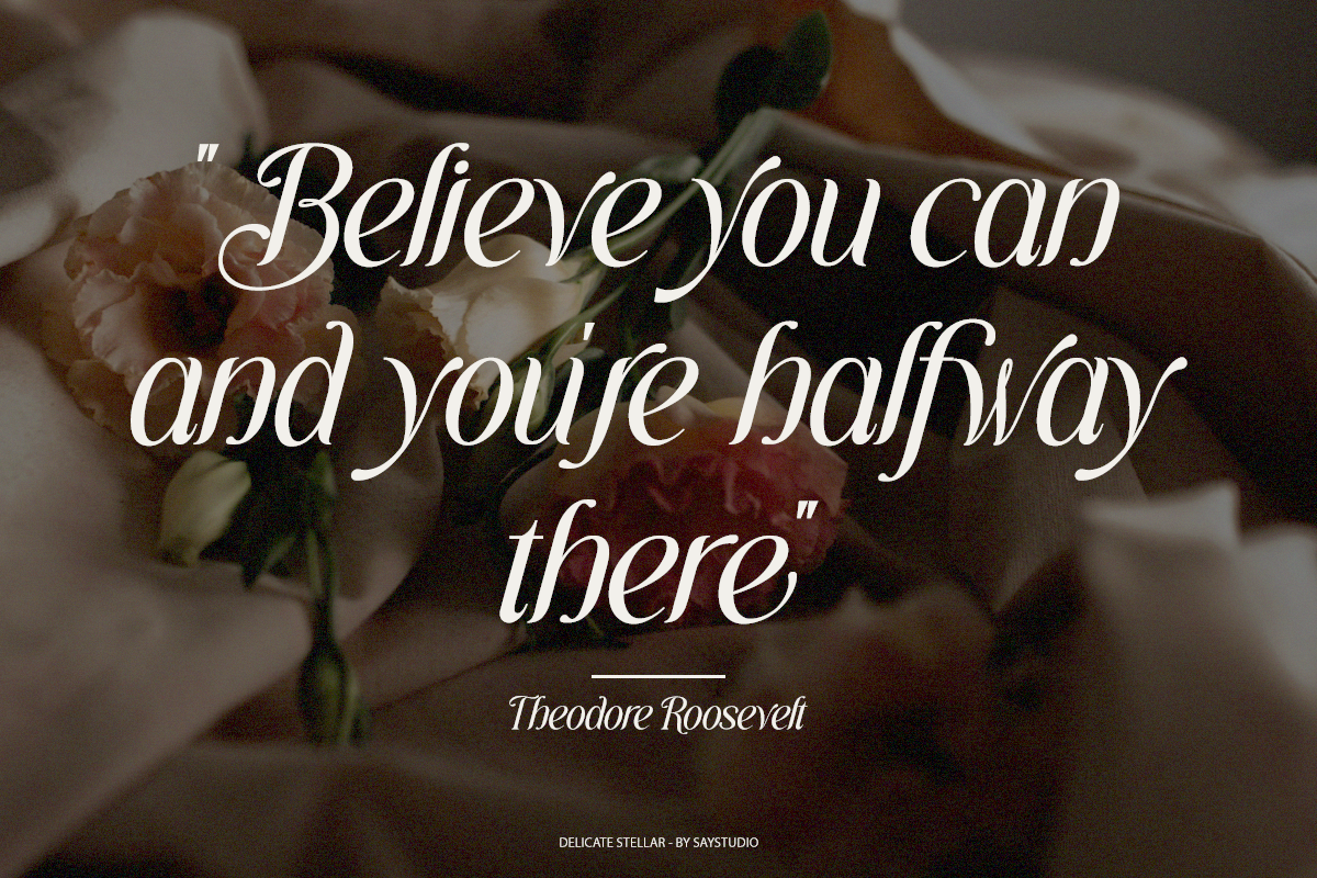Delicate Stellar - Elegant Italic Font