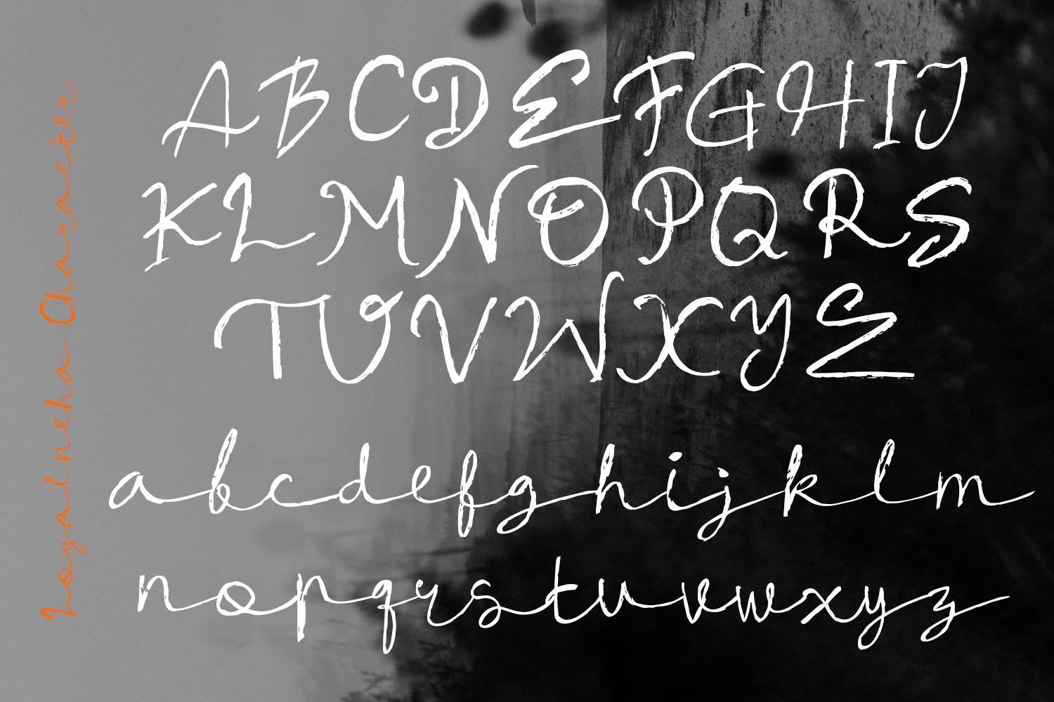 Loyalneha Brush Script