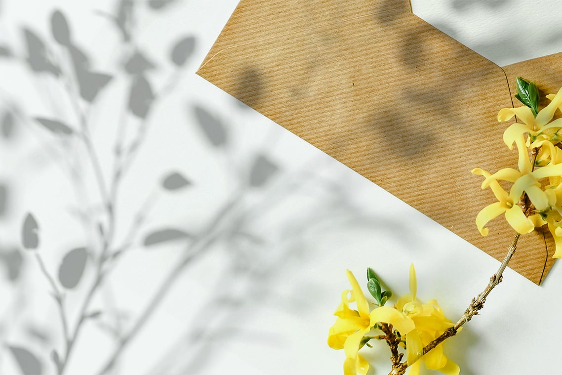 Plant Shadow Backdrops Video Bundle