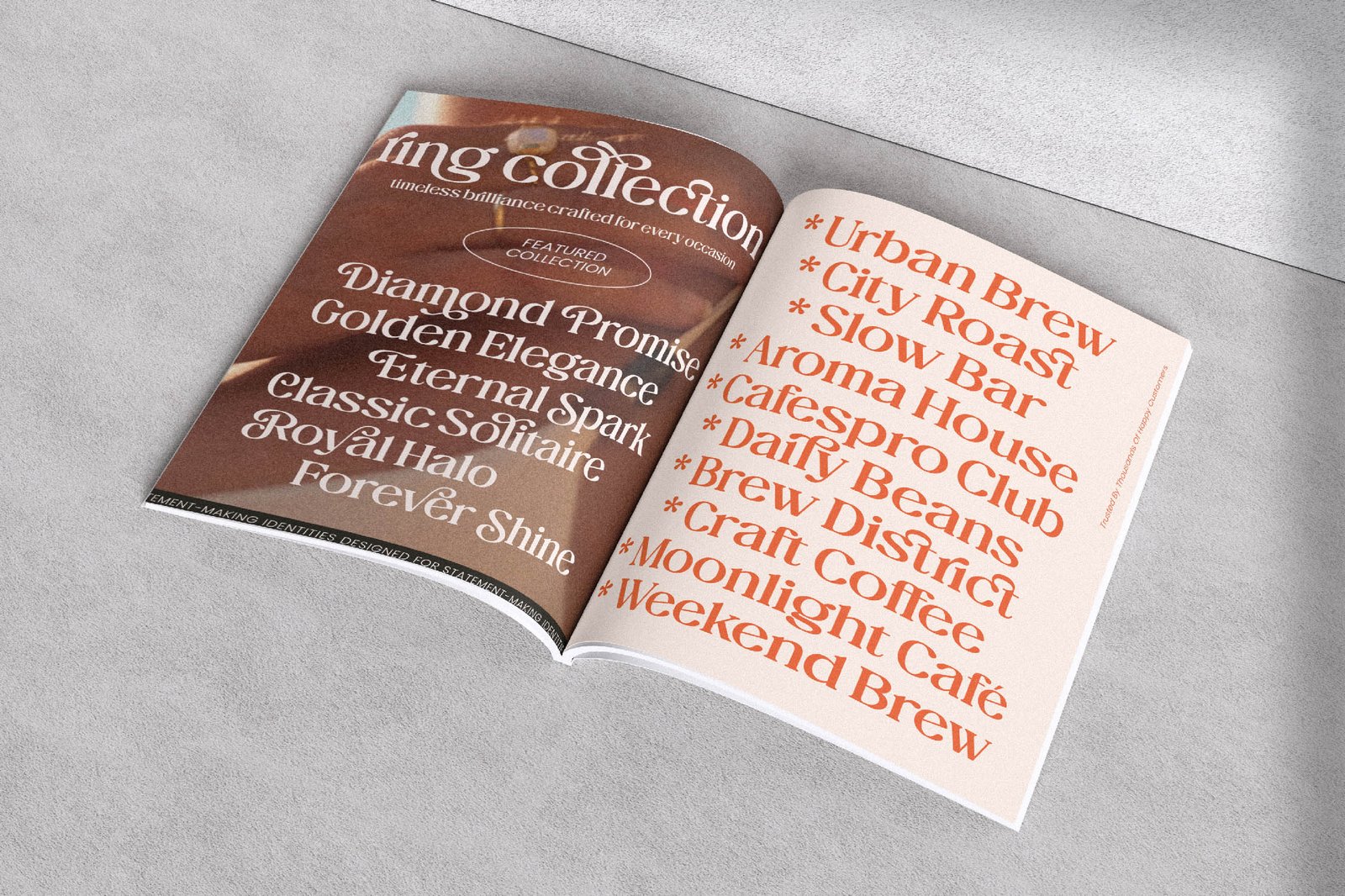 The Daily Midtones Decorative Serif