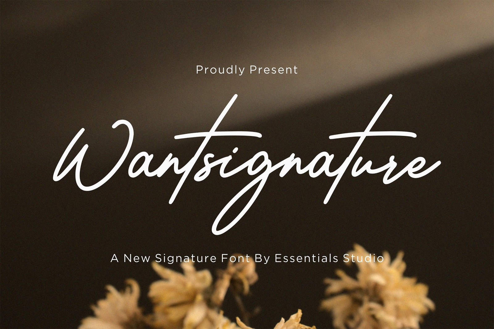 Wantsignature - Elegant Monoline signature Font