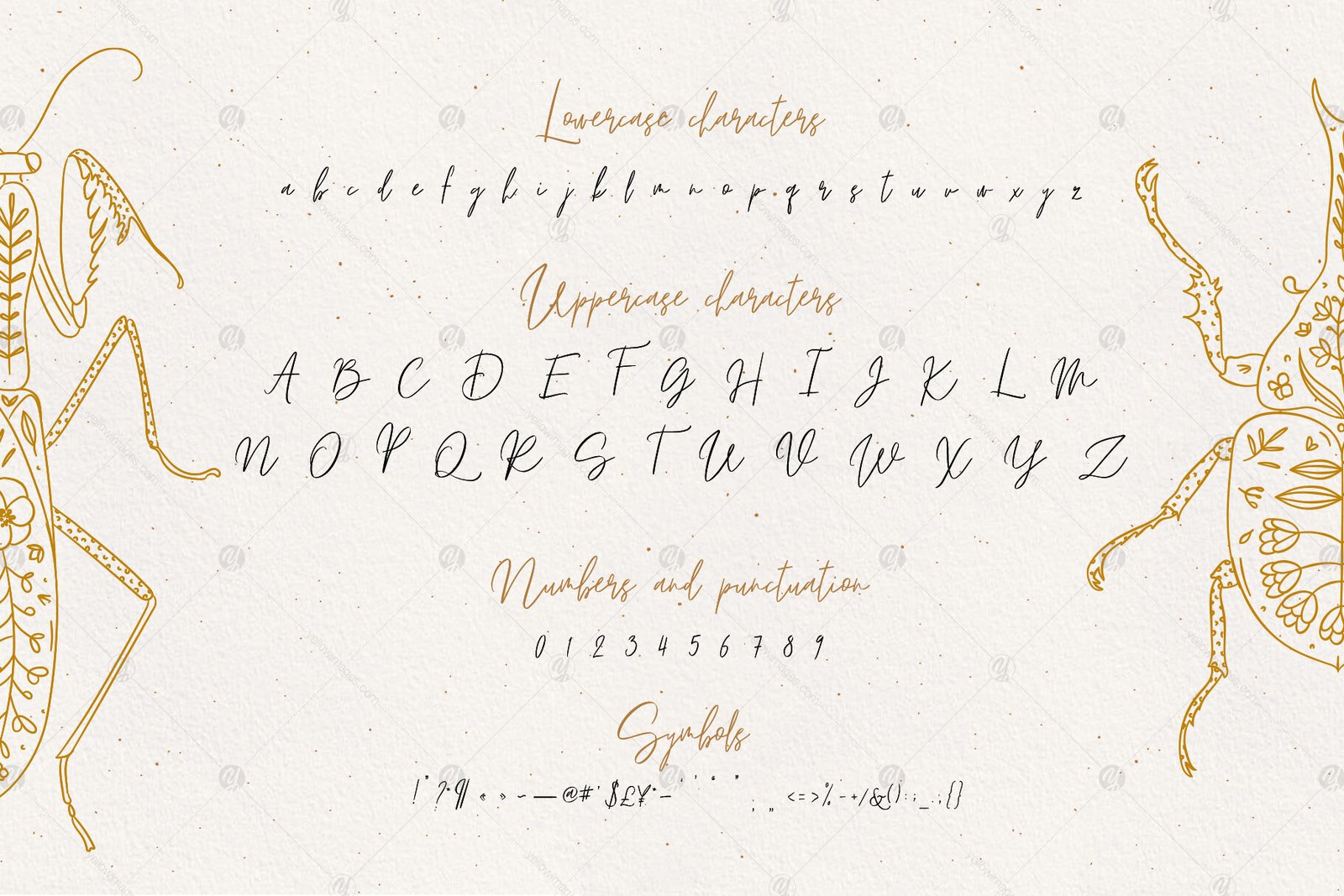 Lyuli Font Script