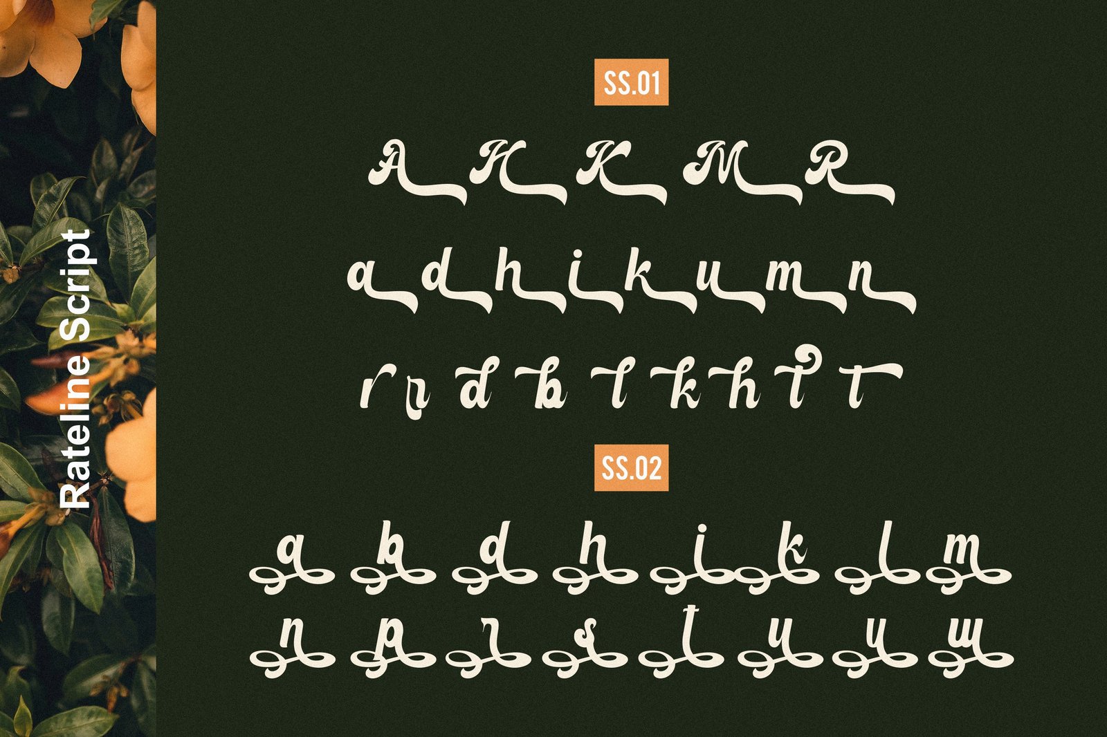 Rateline - Bold Vintage Font