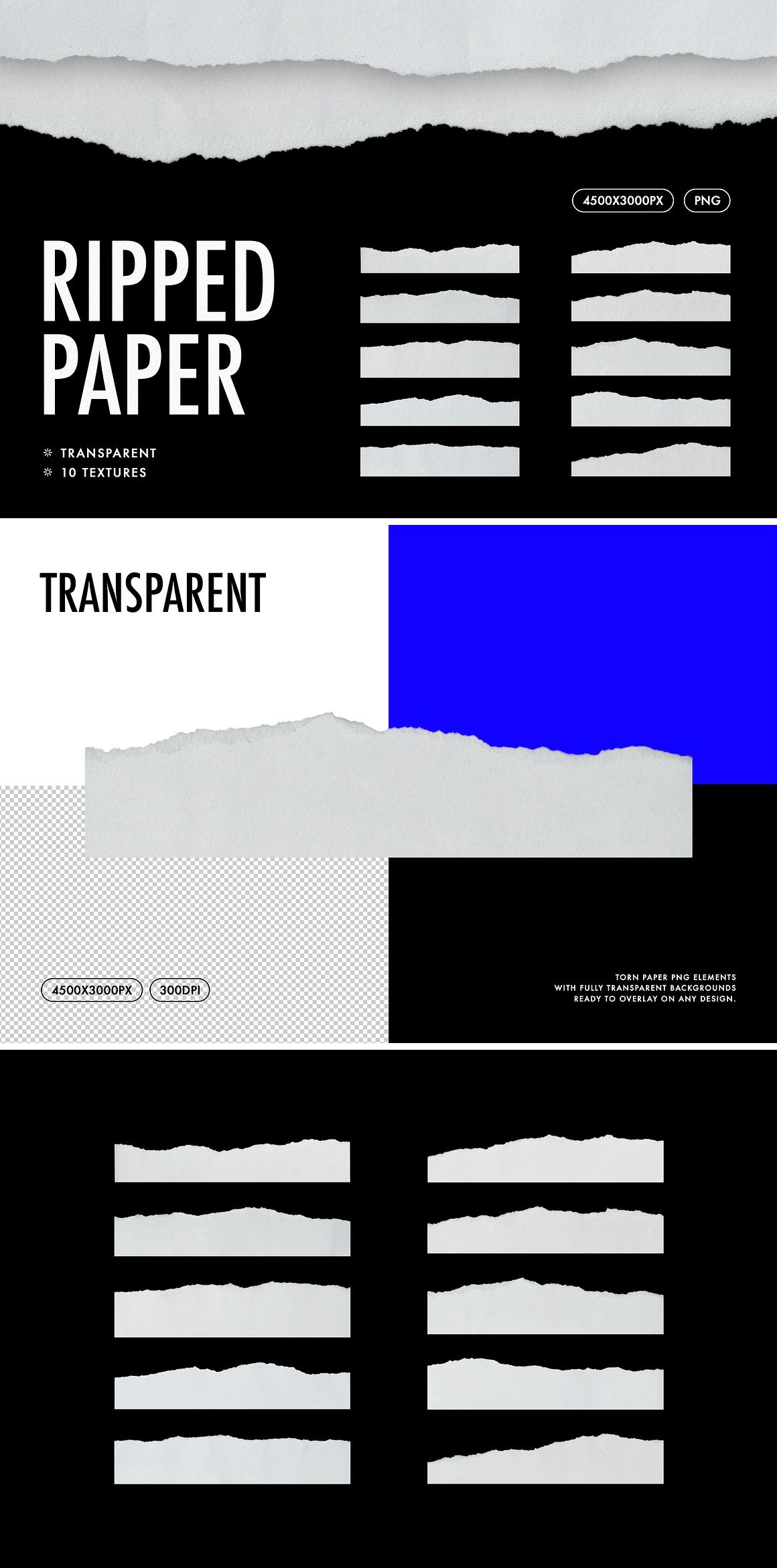 Paper Textures Bundle
