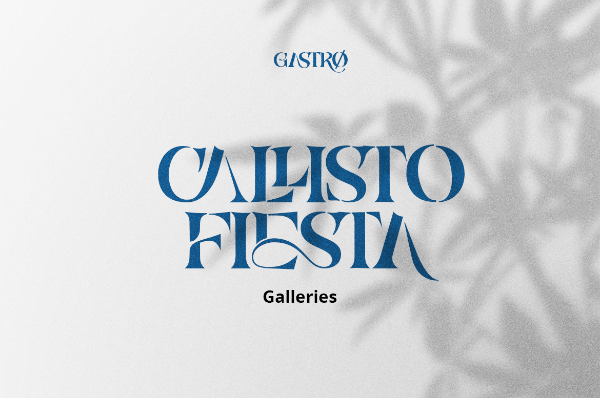 Gastro - Unique Serif Font