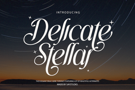 Delicate Stellar - Elegant Italic Font - Italic fonts elegant
