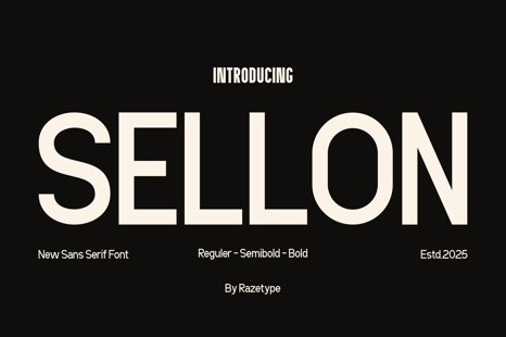 Sellon - Contemporary Sans Serif - Creative Store
