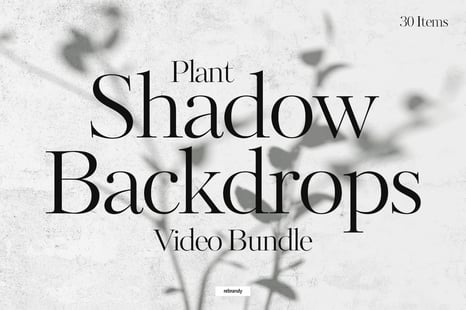 Plant Shadow Backdrops Video Bundle