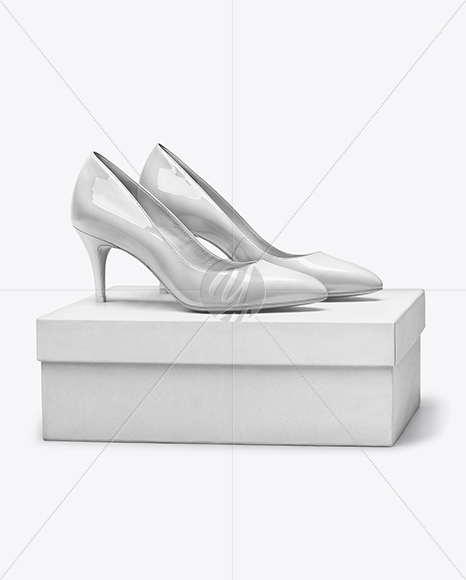 Pair of Pumps with Shoe Box Mockup