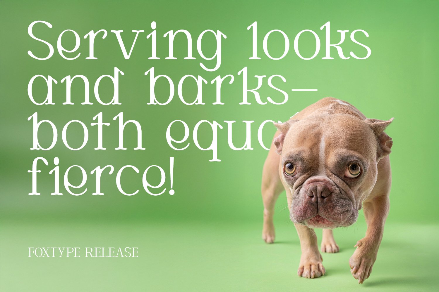 CORTEXO FONT