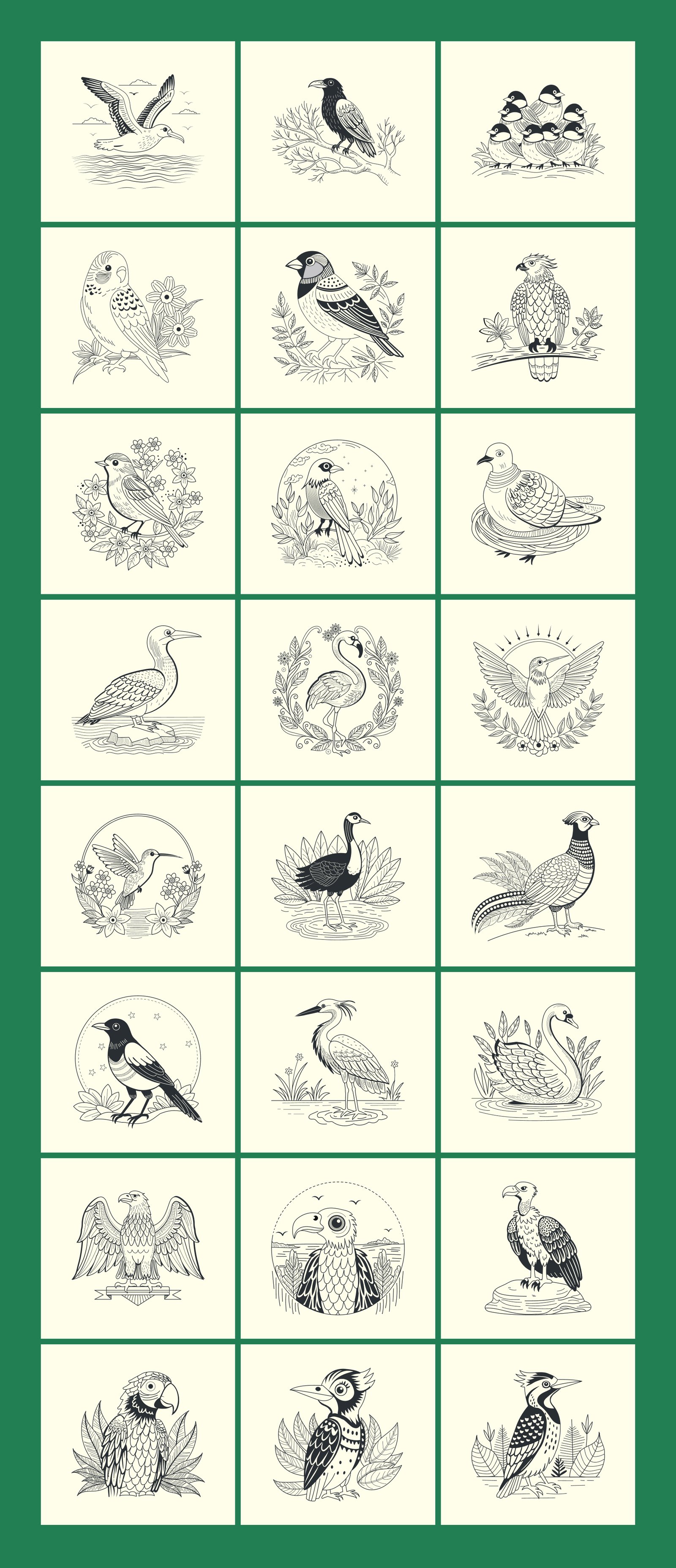 Vintage Bird Illustrations