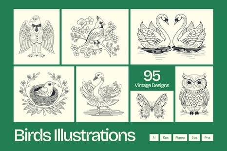 Vintage Bird Illustrations - Graphics
