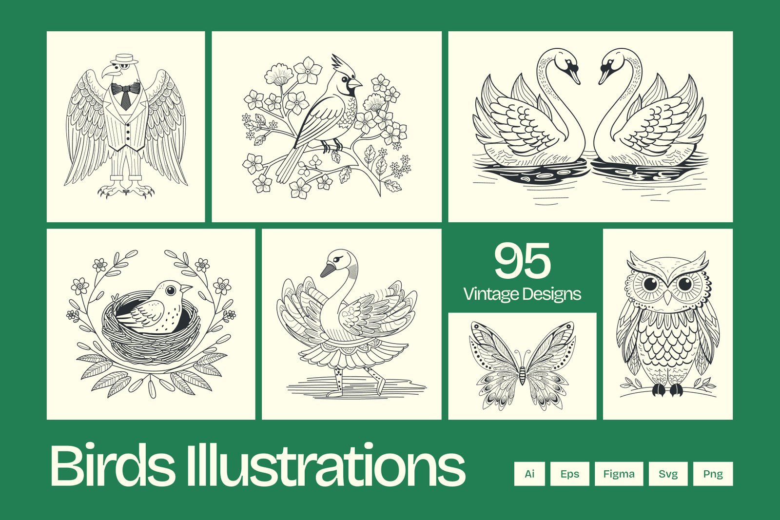 Vintage Bird Illustrations
