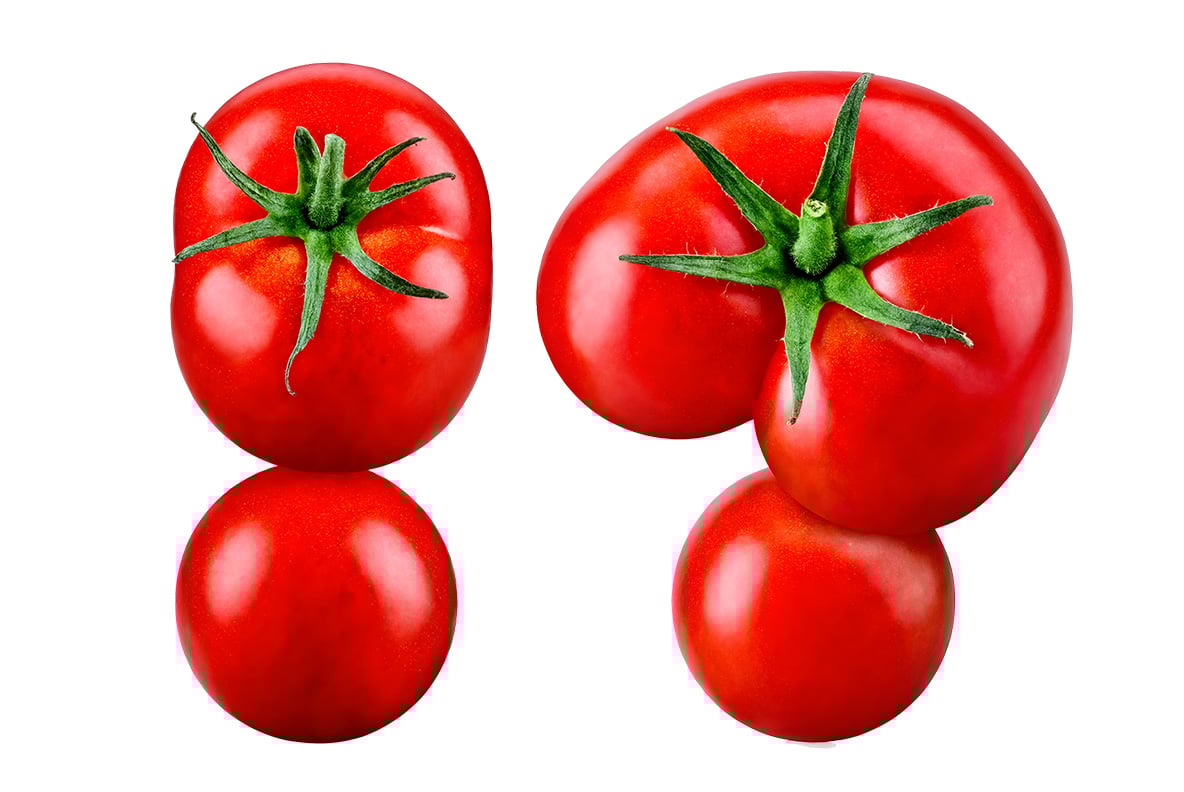 Fresh Tomato