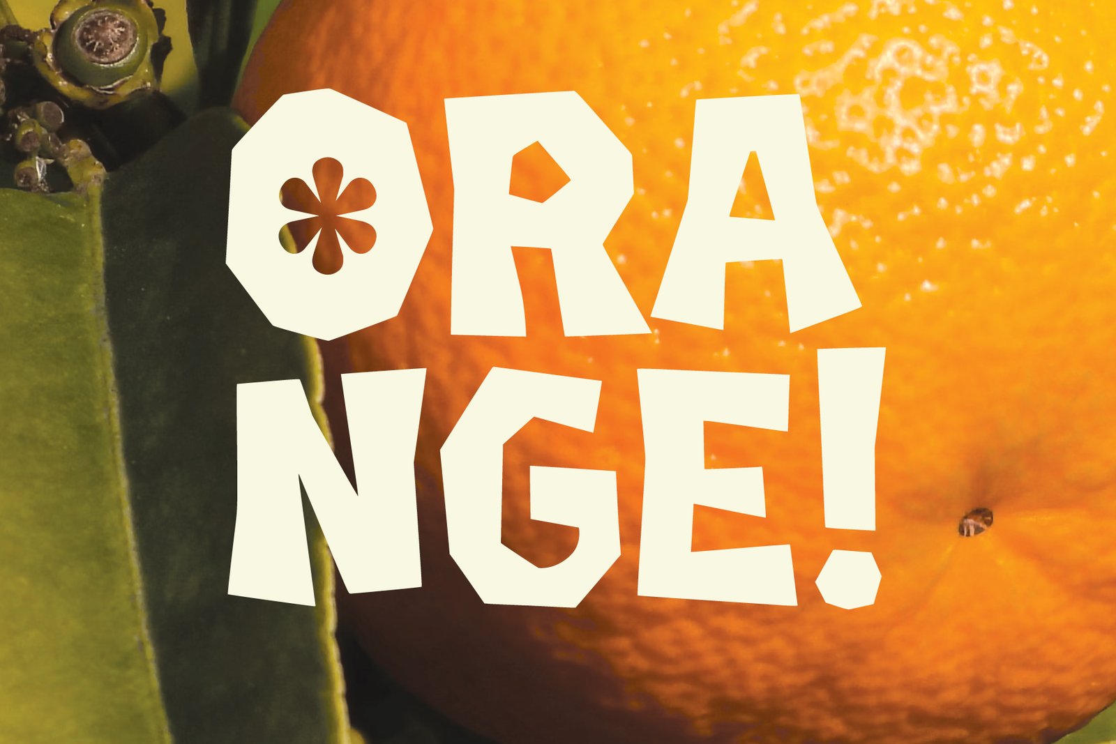 Proske Drawn Font