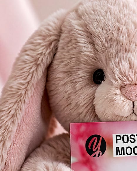 Plush Bunny with Vertical Card Mockup