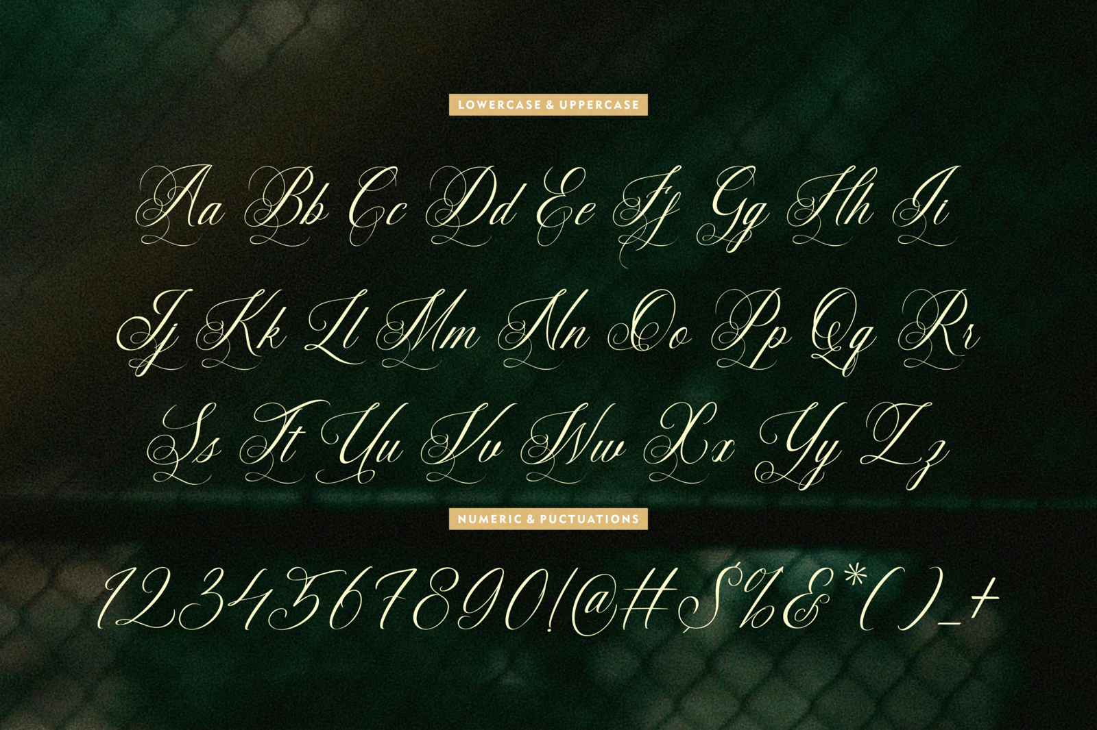 Intrapersonal - Elegance Calligraphy Script Font