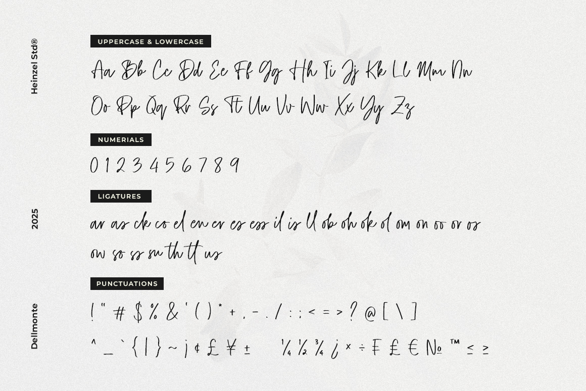 Dellmonte Font