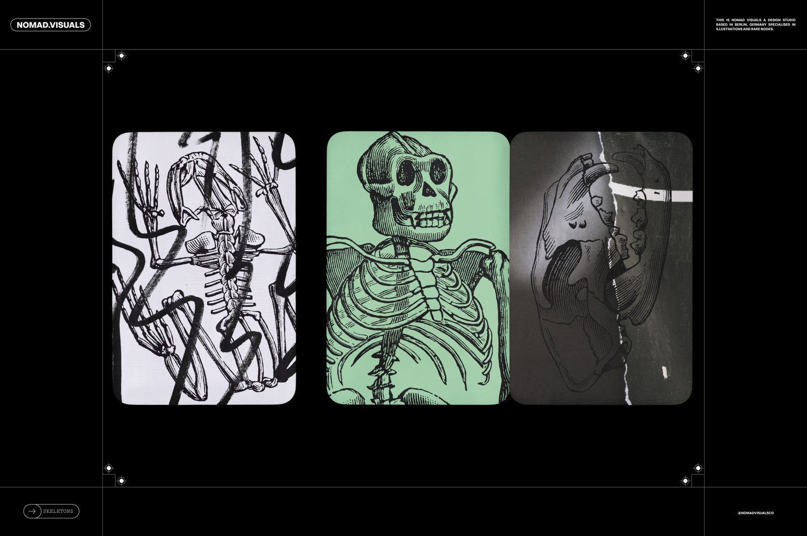 Skeletons &amp; Bones – 30 Antique Illustrations