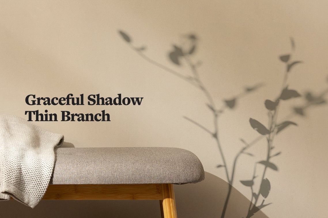 Plant Shadow Backdrops Video Bundle