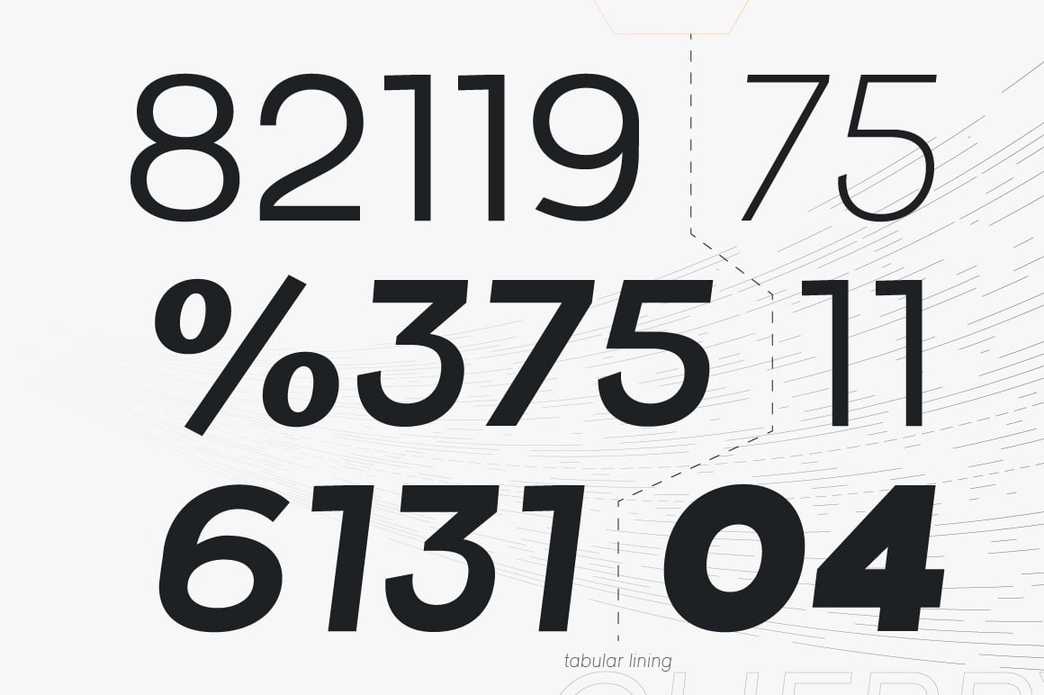 Raela Pro a Geometric Sans Serif Family