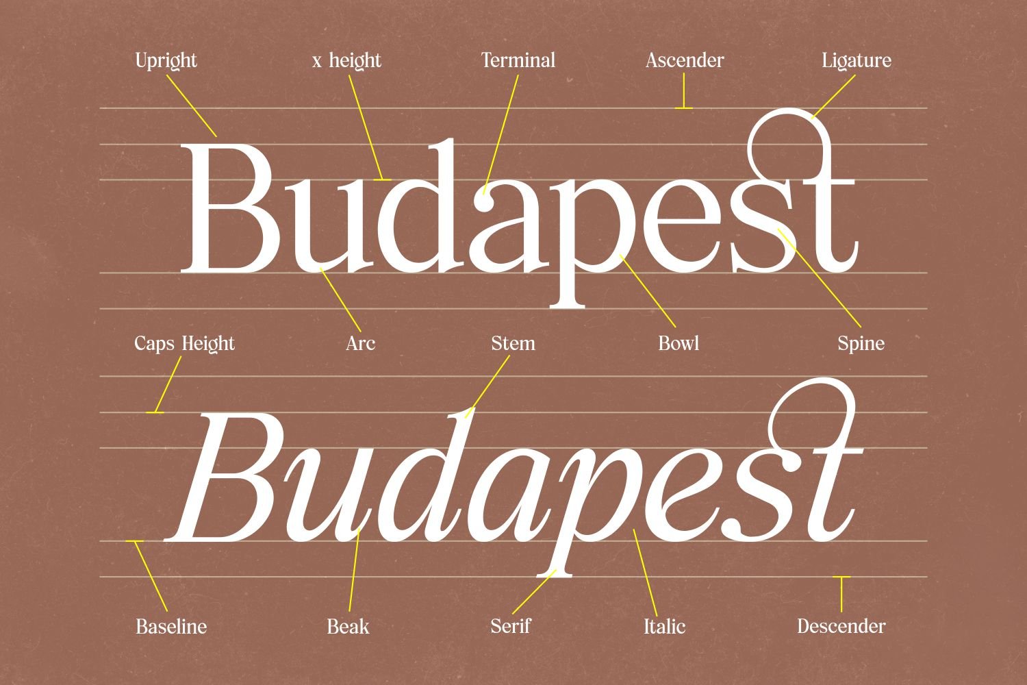 Elfreya - Elegant Branding Font