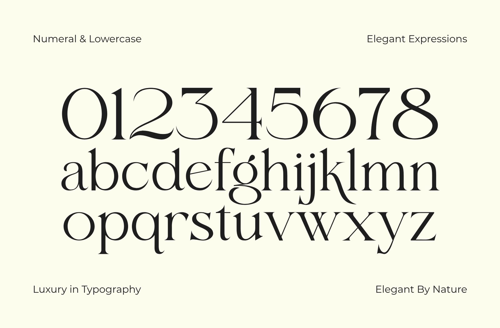 Elqati – Elegant Modern Serif Font