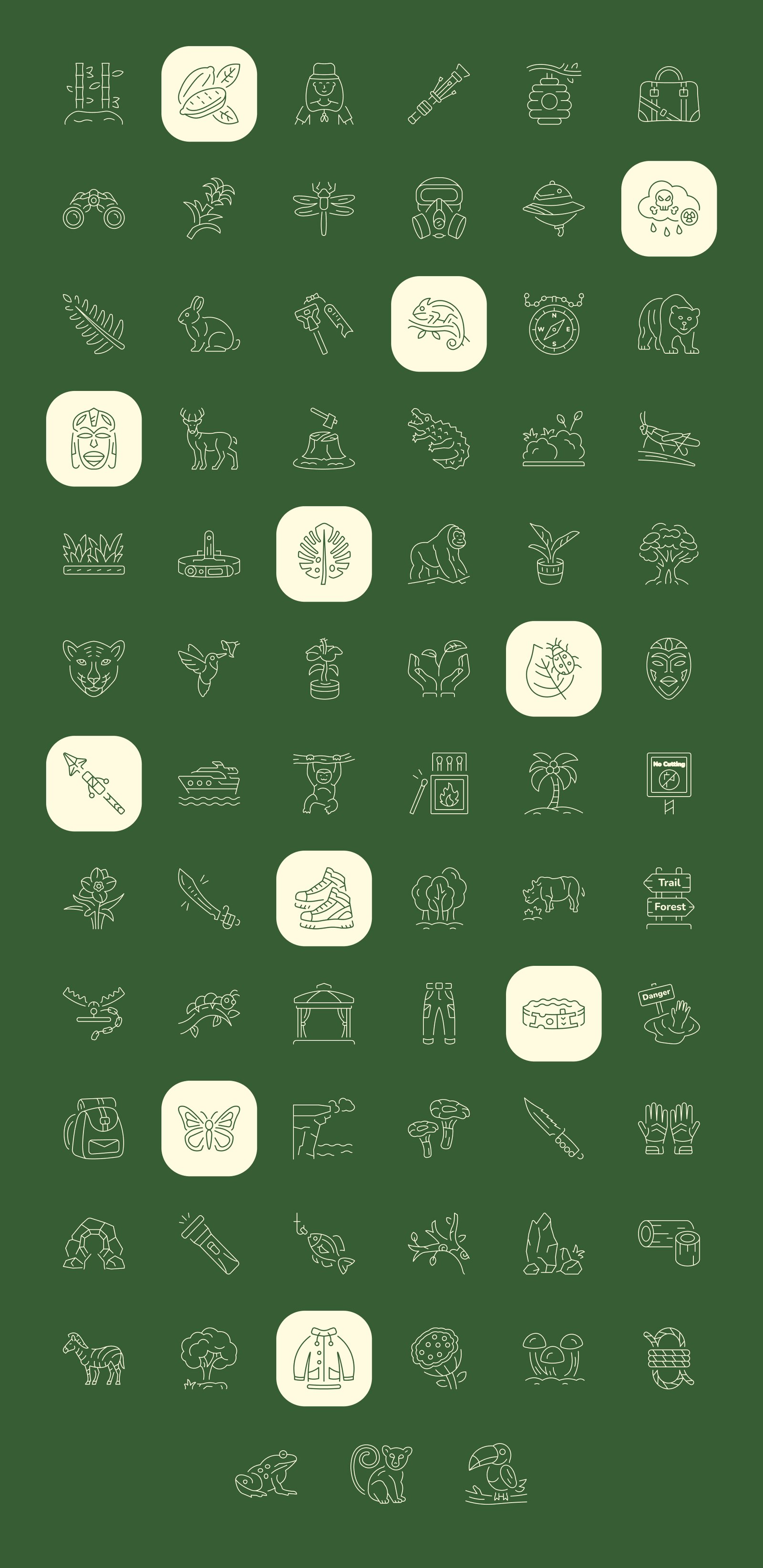 Rainforest Art Icon Set