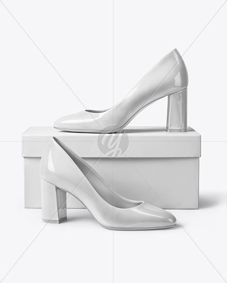 Block Heel Pumps with Shoe Box Mockup