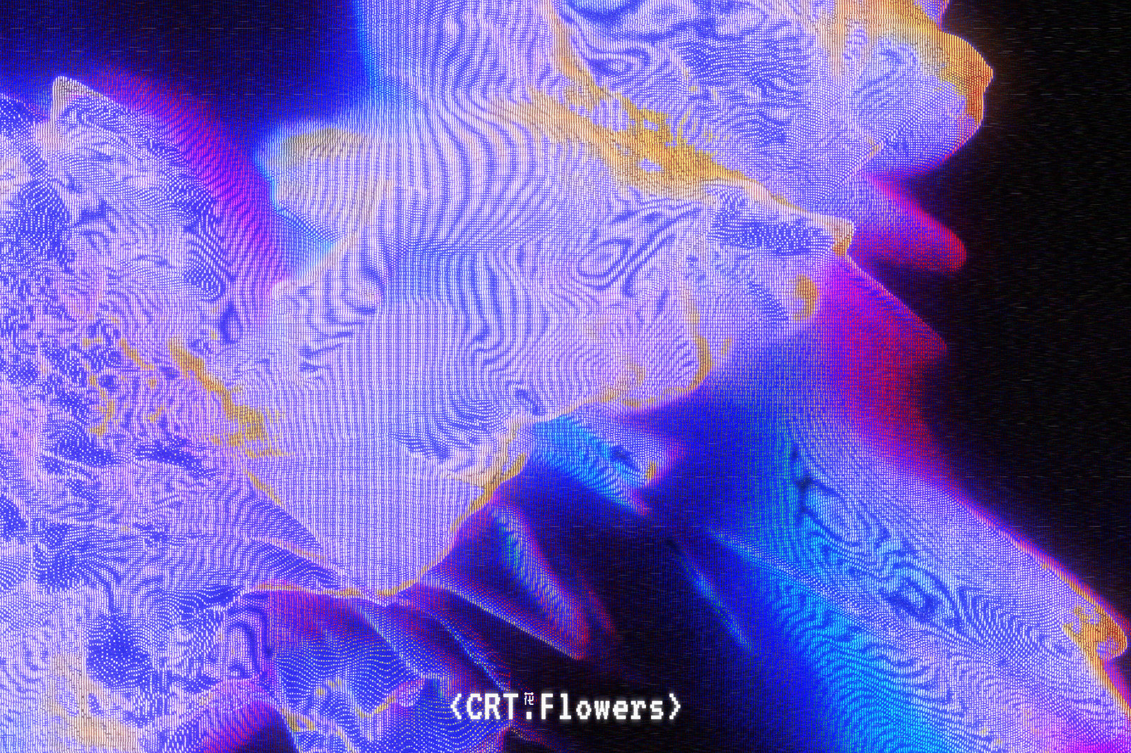 CRT Flowers