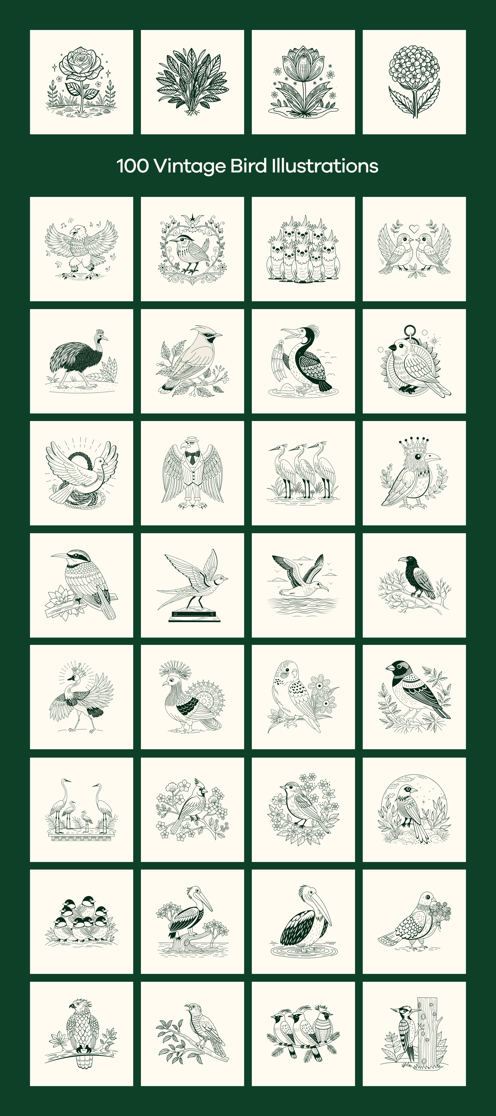 Vintage Nature Illustrations Bundle