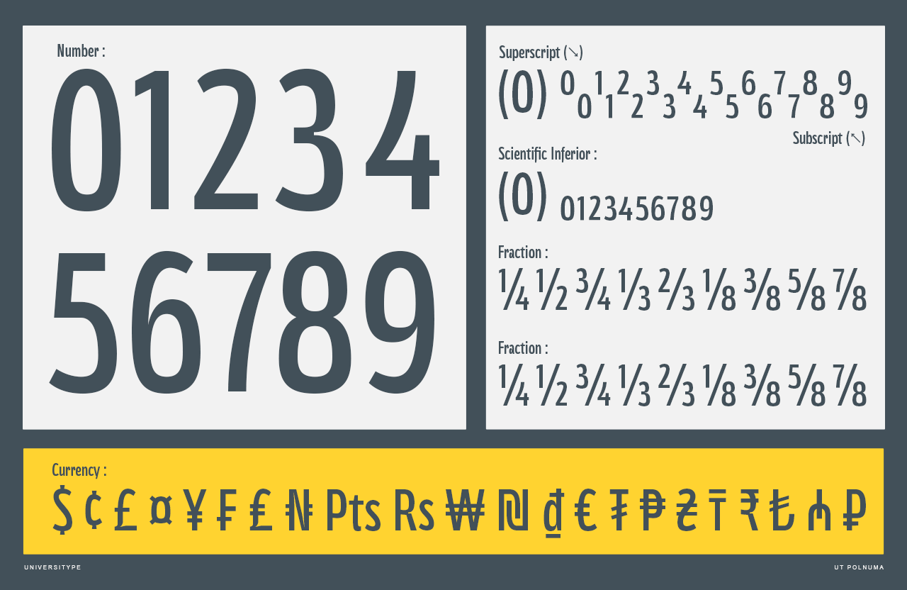 UT Polnuma - A Versatile Sans Serif Font