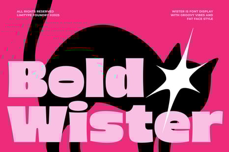 Wister - Bold Font - Fonts