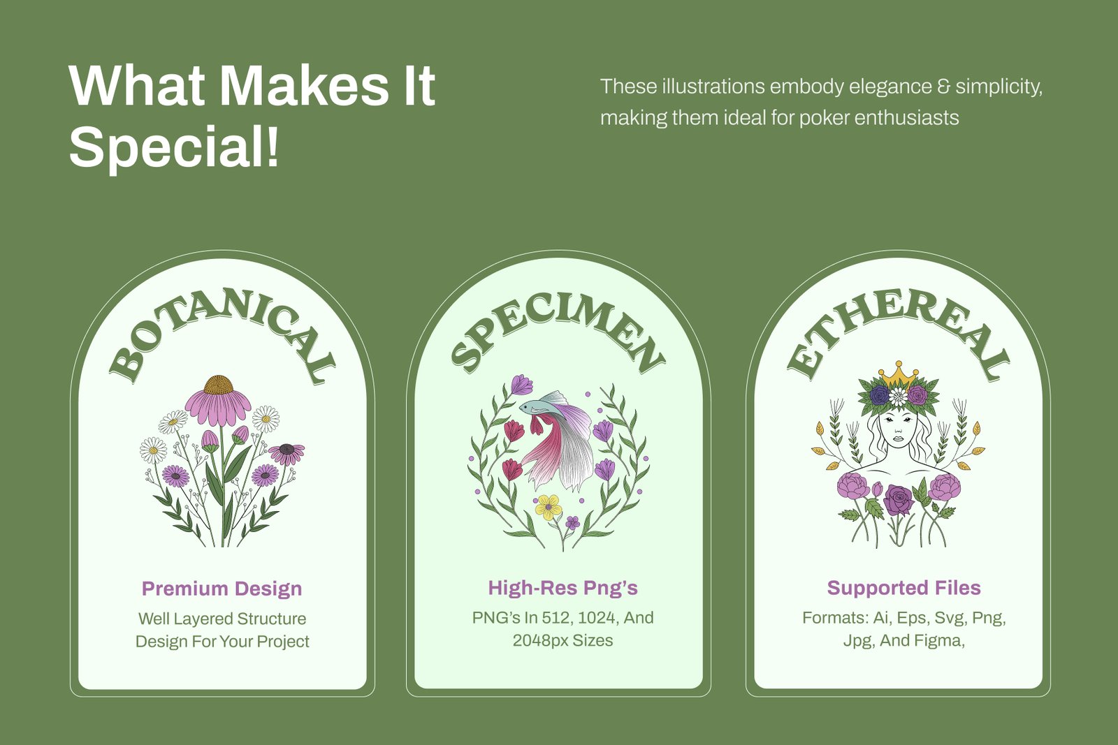 Vintage Nature Illustration Bundle