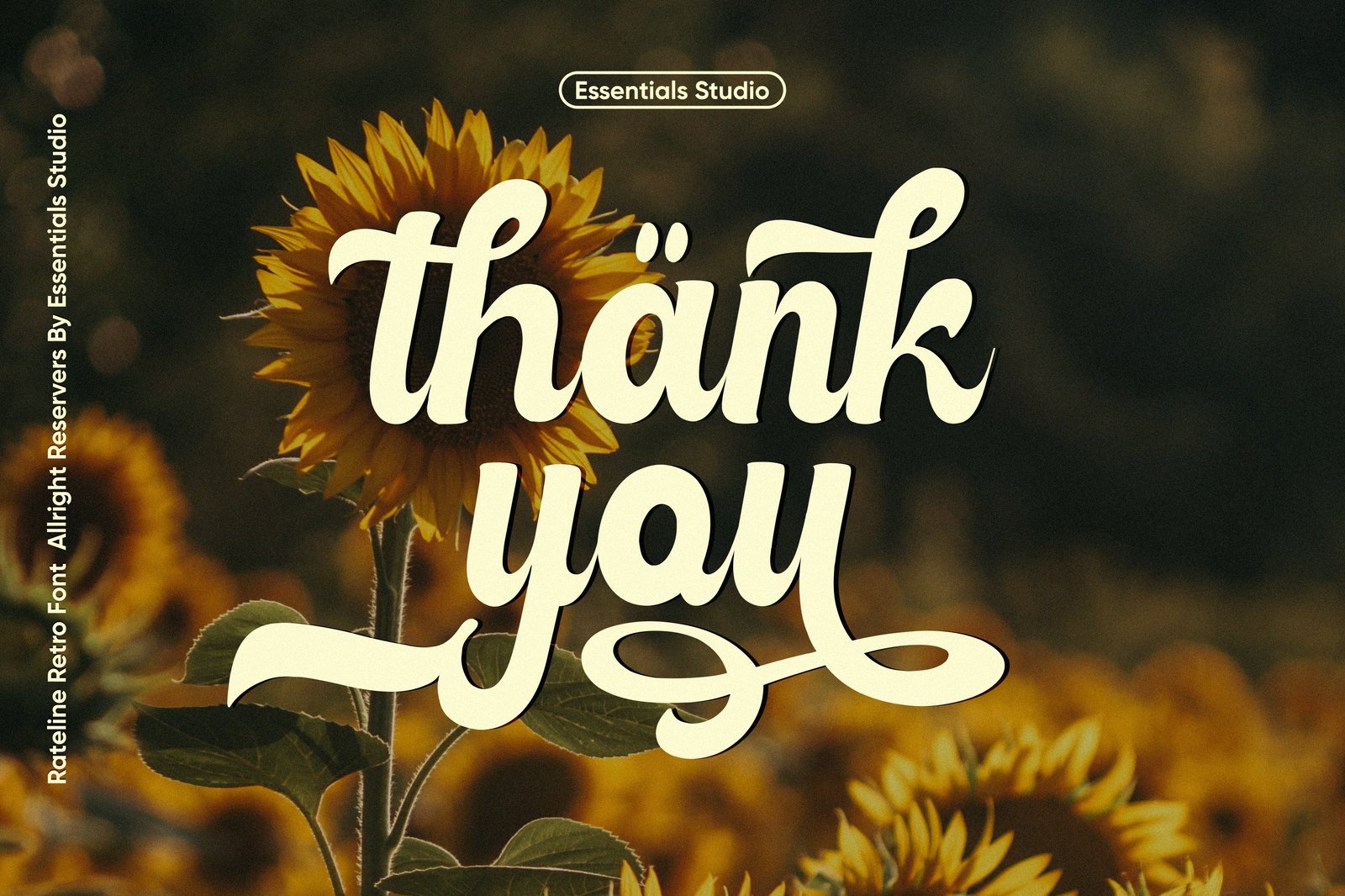 Rateline - Bold Vintage Font