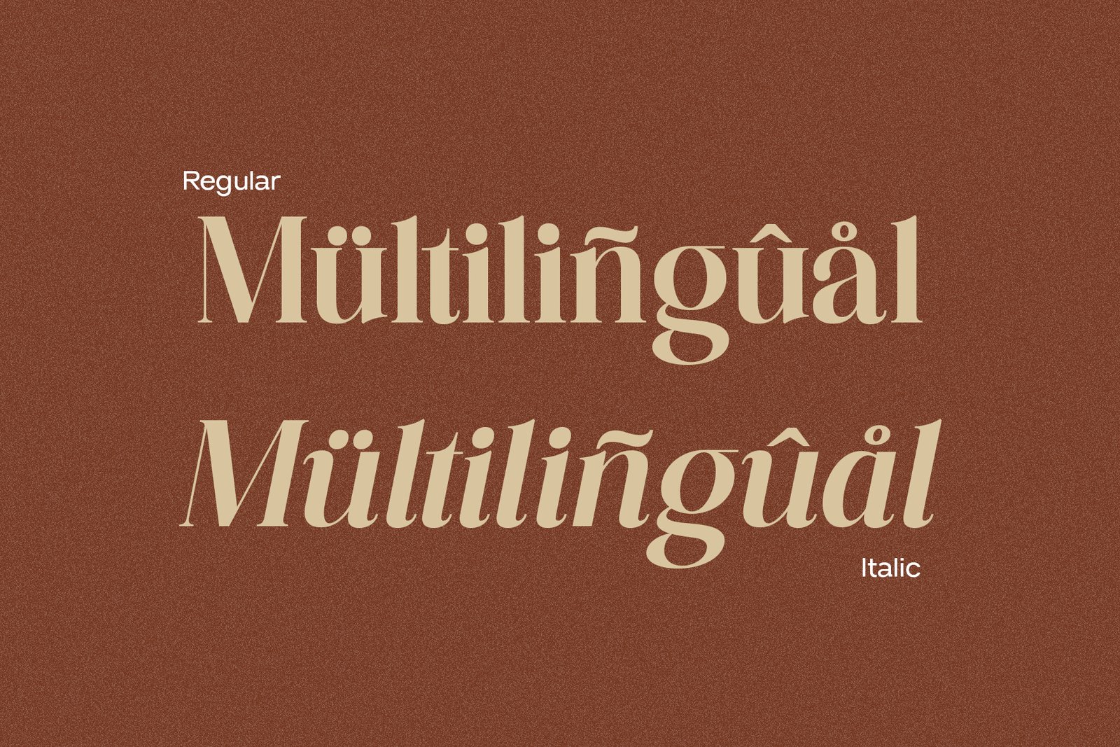 Asyadiga - Modern Serif Font