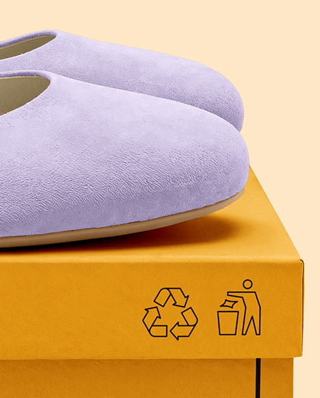 Pair of Suede Ballet Flats with Box Mockup